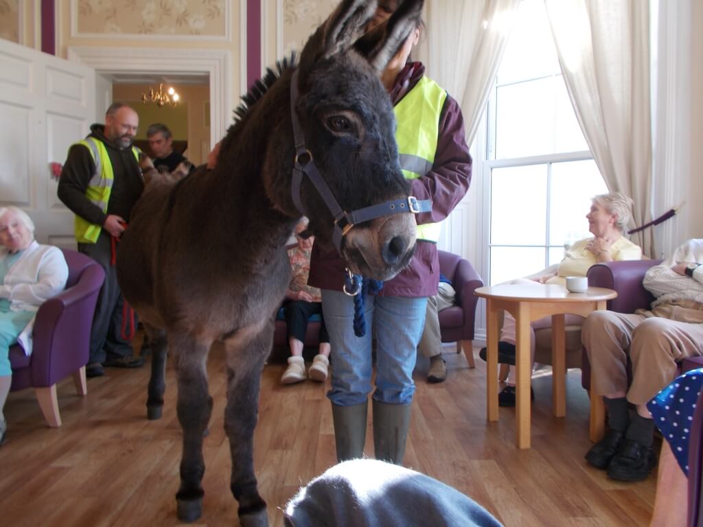 Harvest Festival 7th October 2014 003
