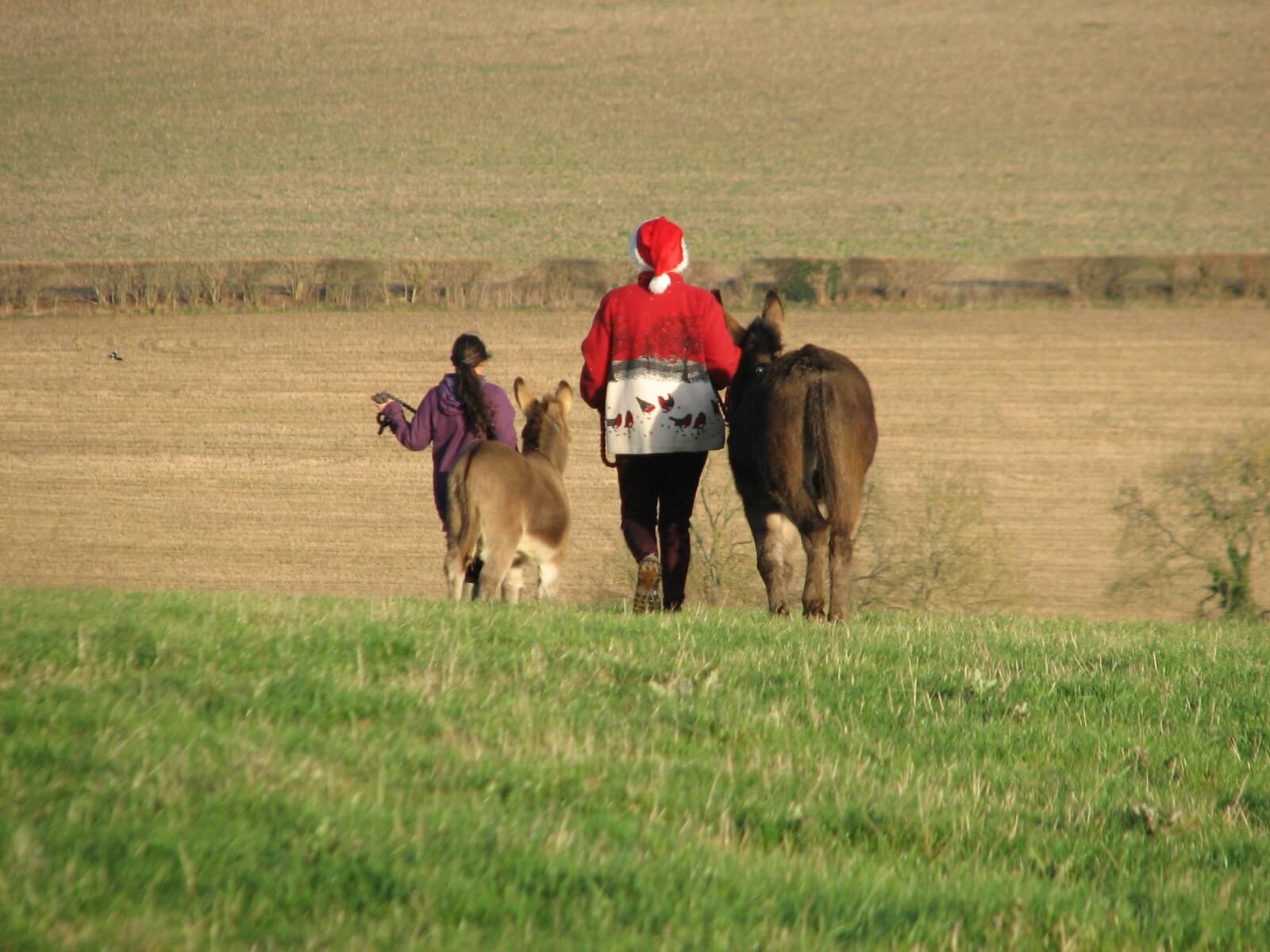 a photo of woman and girl walking two donkeys