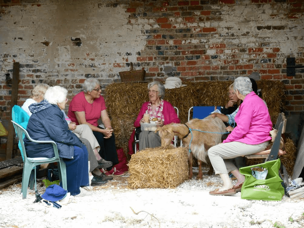 A photo of several women chatting and a goat