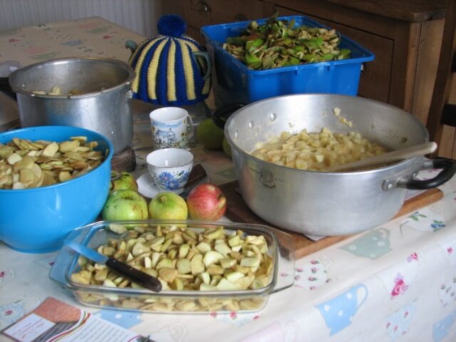 A photo of chopped apples